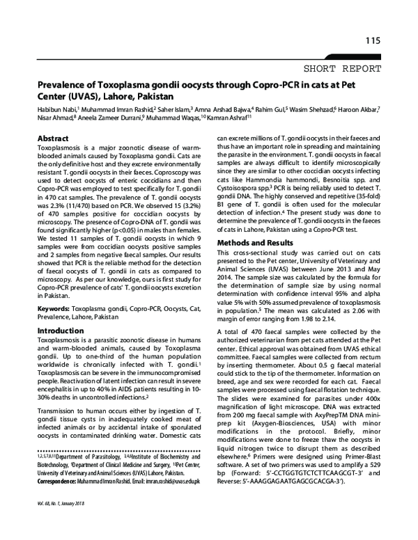 (PDF) Prevalence of Toxoplasma gondii oocysts through Copro-PCR in cats ...