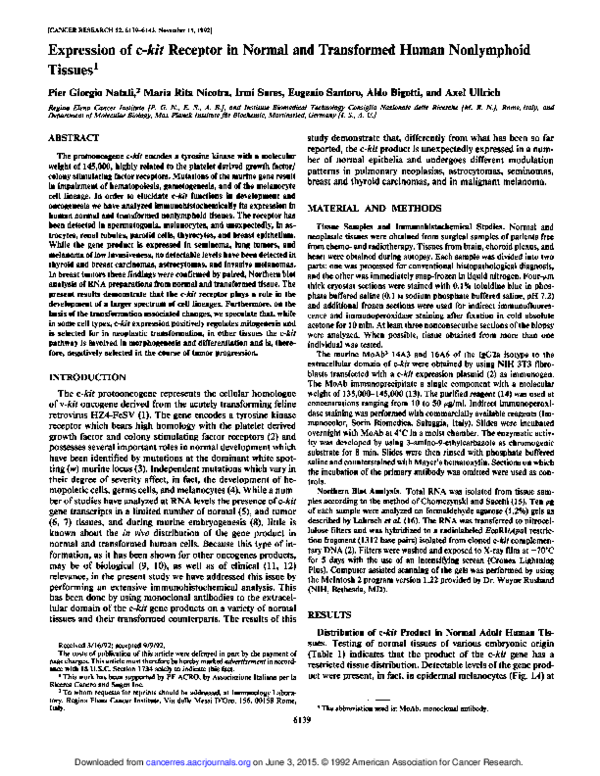 (PDF) Expression of c-kit receptor in normal and transformed human ...