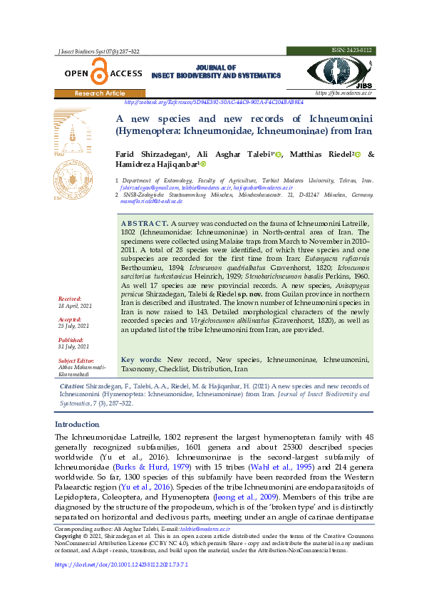 (PDF) A new species and new records of Ichneumonini (Hymenoptera ...