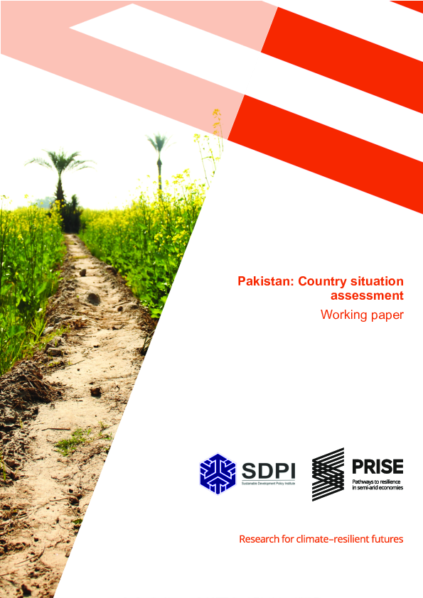 Pakistan Country Situation Assessment Wo
