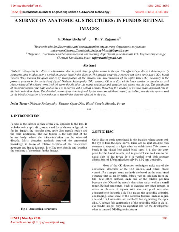 (PDF) A Survey on Anatomical Structures: In Fundus Retinal Images