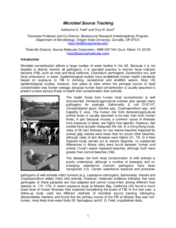 (PDF) Microbial source tracking