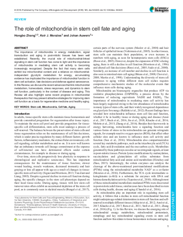 (PDF) The role of mitochondria in stem cell fate and aging | Keir ...