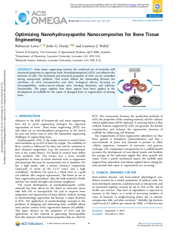 (PDF) Optimizing Nanohydroxyapatite Nanocomposites for Bone Tissue ...