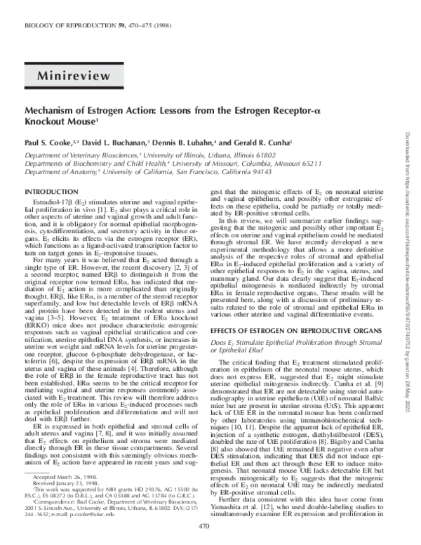 (PDF) Mechanism of Estrogen Action: Lessons from the Estrogen Receptor ...