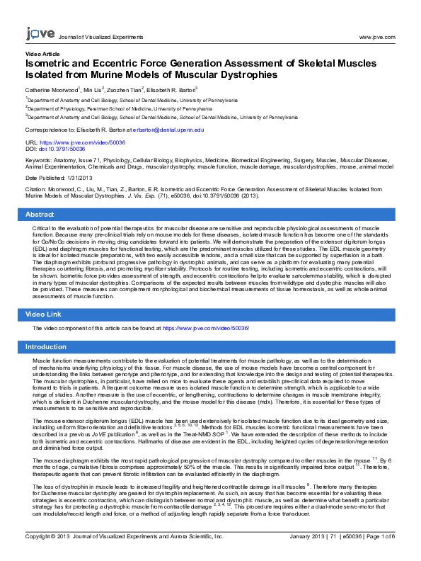 (PDF) Video Article Isometric and Eccentric Force Generation Assessment ...