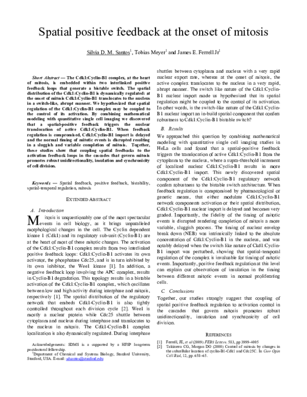 (PDF) Spatial Positive Feedback at the Onset of Mitosis