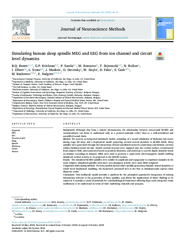 (PDF) Simulating human sleep spindle MEG and EEG from ion channel and ...