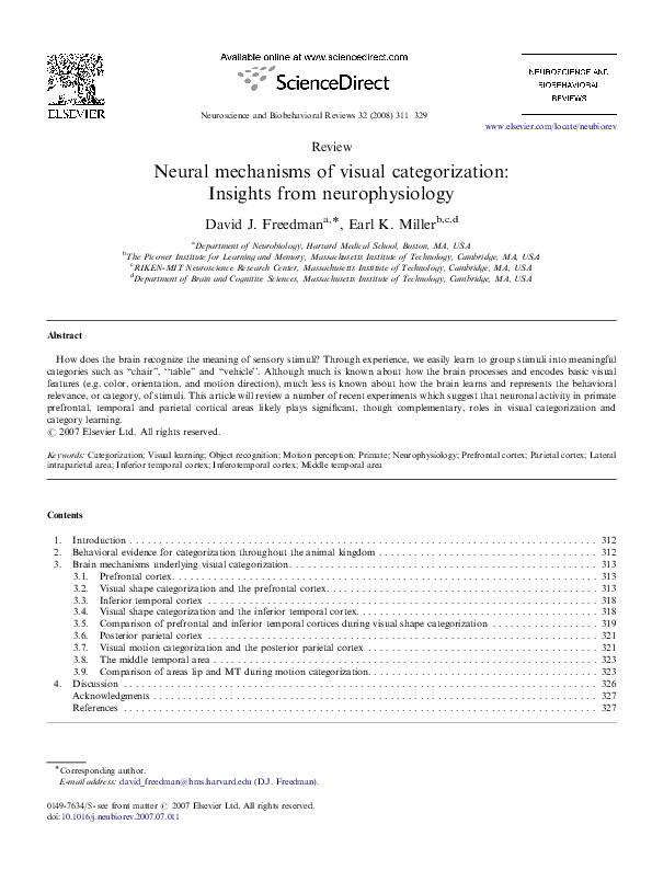 (PDF) Neural mechanisms of visual categorization: insights from ...