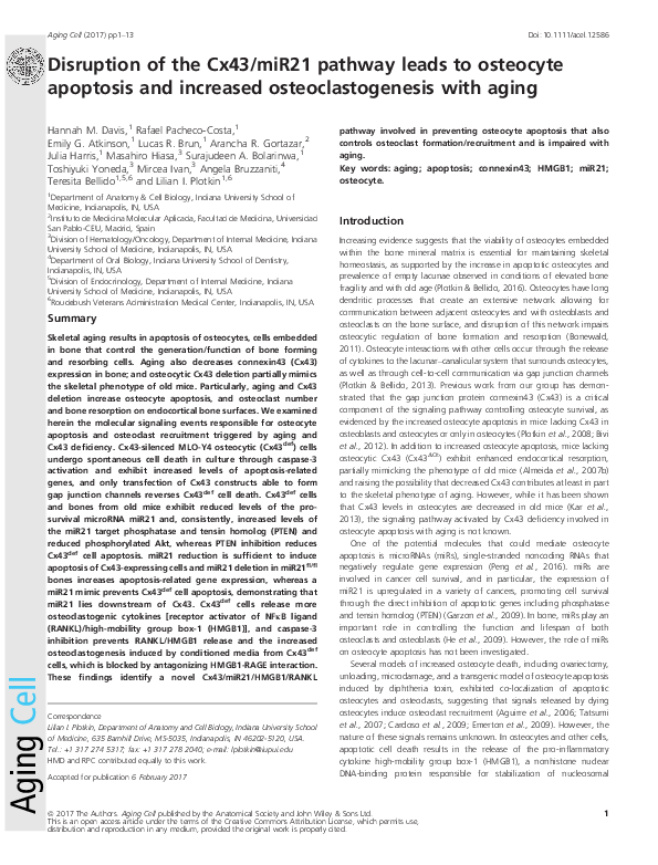 (PDF) Disruption of the Cx43/miR21 pathway leads to osteocyte apoptosis ...