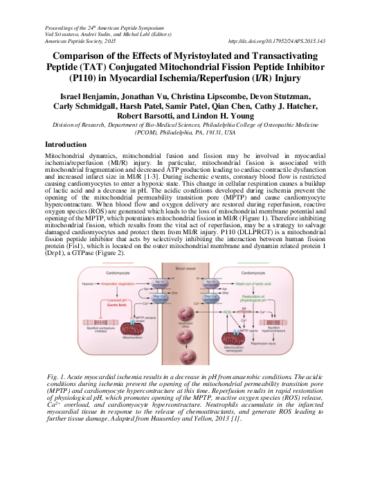 (PDF) Comparison of the Effects of Myristoylated and Transactivating ...