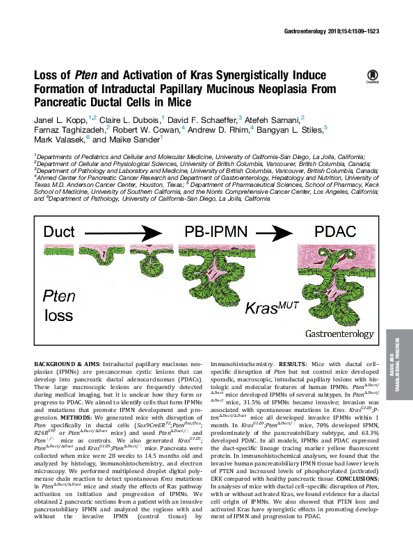 (PDF) Loss of PTEN and Activation of Kras Synergistically Induce ...
