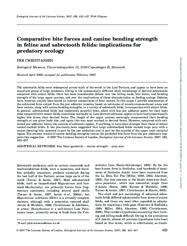 Feline And Canine Comparative Studies photo