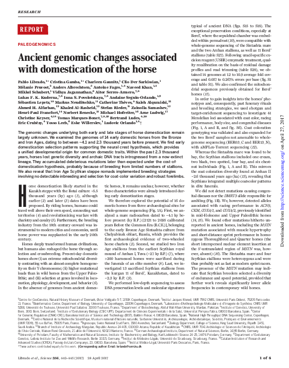 (PDF) Ancient genomic changes associated with domestication of the horse