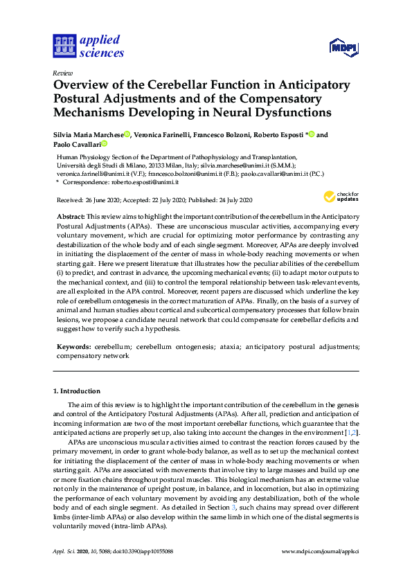(PDF) Overview of the Cerebellar Function in Anticipatory Postural ...