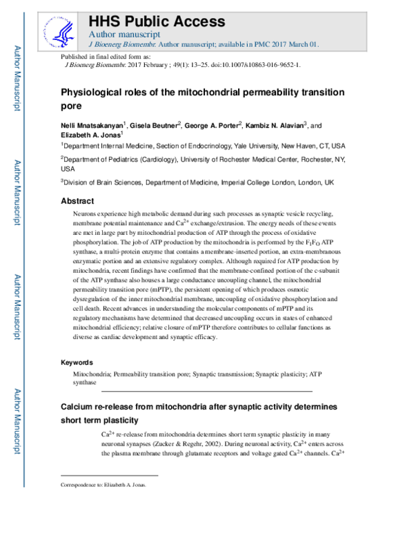 (PDF) Physiological roles of the mitochondrial permeability transition pore