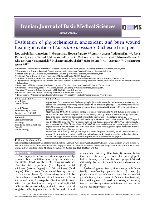 (PDF) Evaluation of phytochemicals, antioxidant and burn wound healing ...