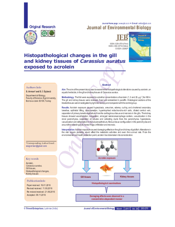 (PDF) Histopathological changes in the gill and kidney tissues of ...