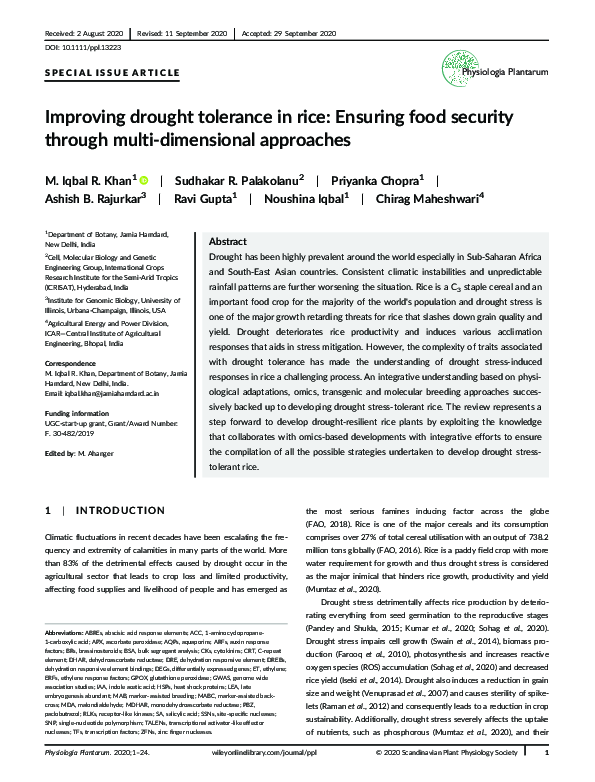 (PDF) Improving drought tolerance in rice: Ensuring food security ...