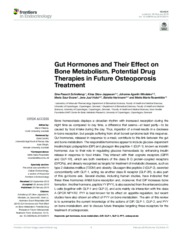 (PDF) Gut Hormones and Their Effect on Bone Metabolism. Potential Drug ...