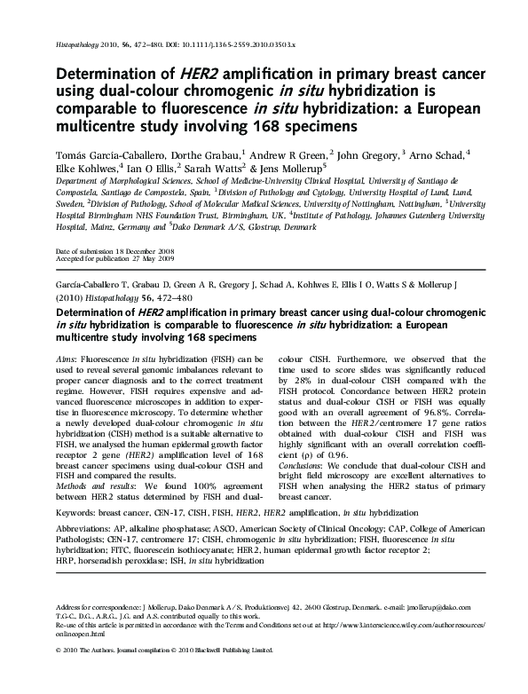 (PDF) Determination of HER2 amplification in primary breast cancer ...