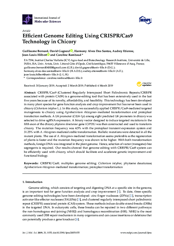(PDF) Efficient Genome Editing Using CRISPR/Cas9 Technology in Chicory