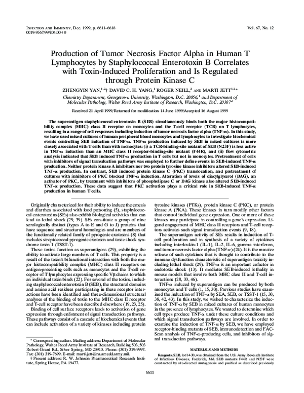 (PDF) Production of tumor necrosis factor alpha in human T lymphocytes ...