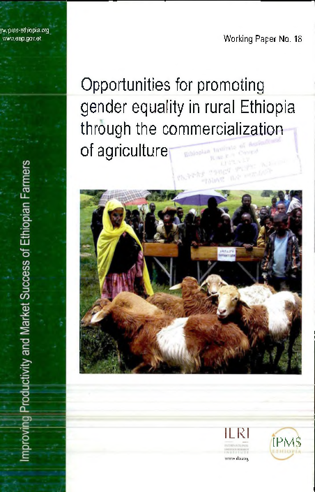 (PDF) Opportunities for promoting gender equality in rural Ethiopia ...