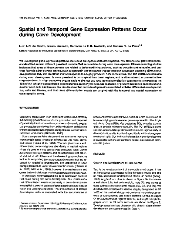 (PDF) Spatial and Temporal Gene Expression Patterns Occur during Corm ...