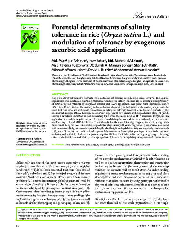 (PDF) Potential determinants of salinity tolerance in rice (Oryza ...