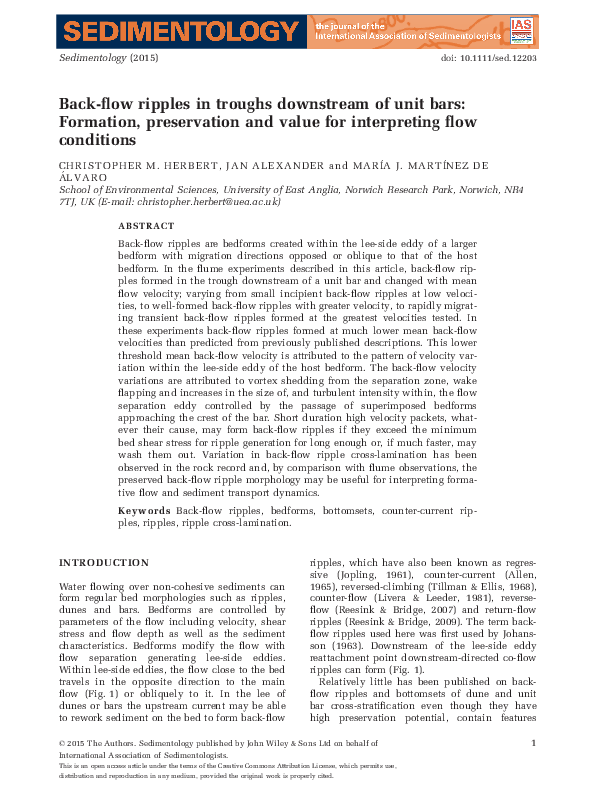 (PDF) Back-flow ripples in troughs downstream of unit bars: Formation ...