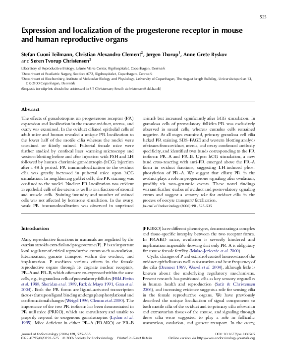 (PDF) Expression and Localization of the Progesterone Receptor In Mouse ...