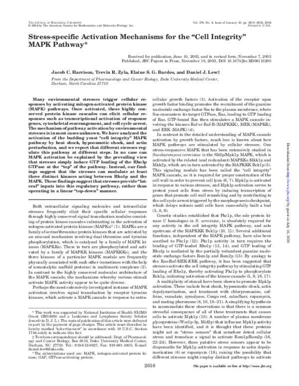 (PDF) Stress-specific Activation Mechanisms for the 