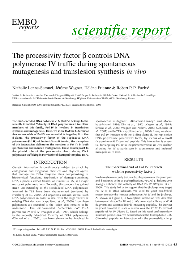 (PDF) The processivity factor β controls DNA polymerase IV traffic ...