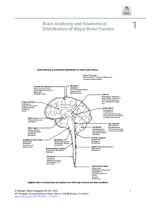 (PDF) Brain Anatomy and Anatomical Distribution of Major Brain Tumors