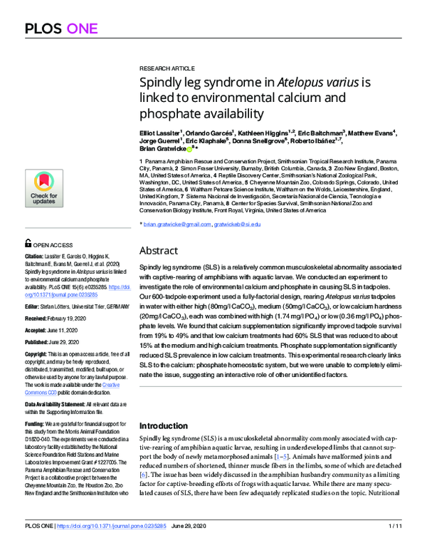 (PDF) Spindly leg syndrome in Atelopus varius is linked to ...