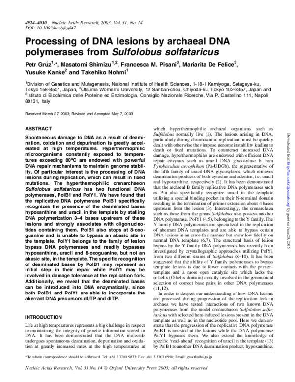 (PDF) Processing of DNA lesions by archaeal DNA polymerases from ...