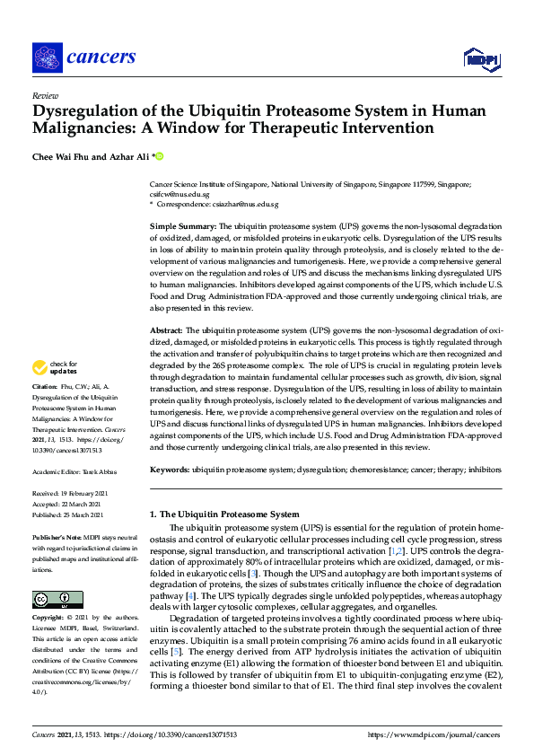 (PDF) Dysregulation of the Ubiquitin Proteasome System in Human ...