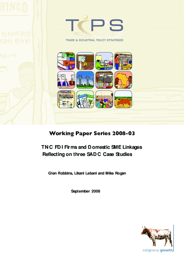 (PDF) TNC FDI Firms and Domestic SME Linkages Reflecting on Three SADC