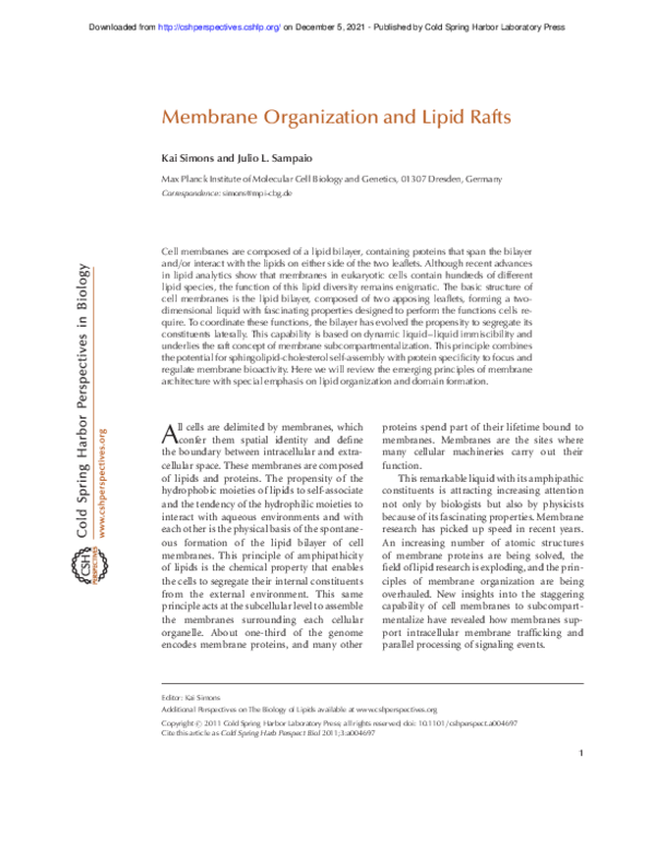 (PDF) Membrane Organization and Lipid Rafts