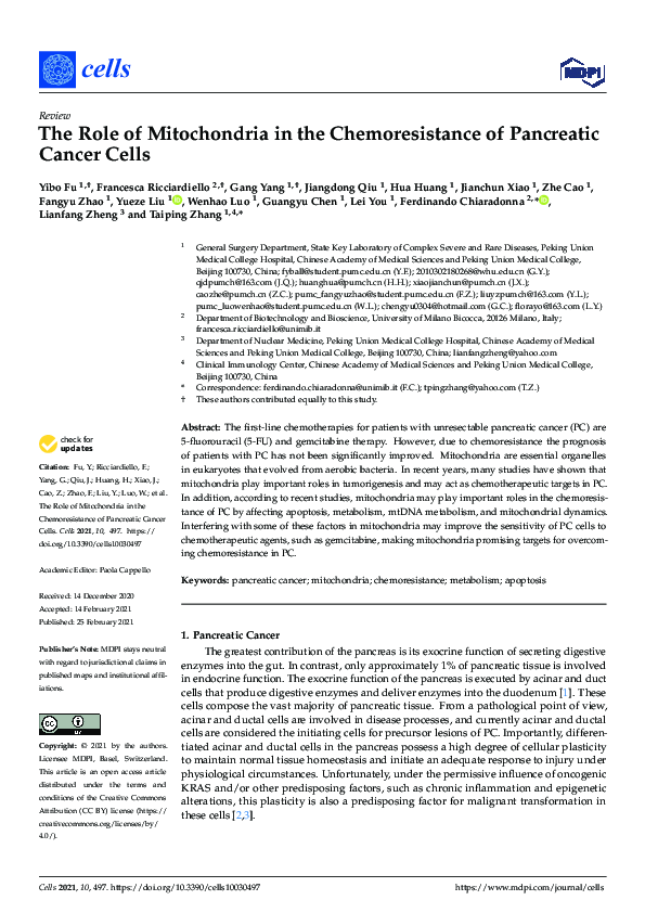 (PDF) The Role of Mitochondria in the Chemoresistance of Pancreatic ...