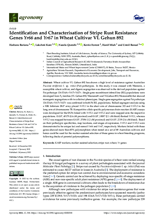 (PDF) Identification and Characterisation of Stripe Rust Resistance ...