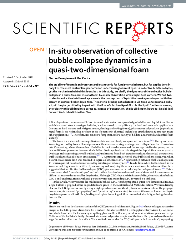 (PDF) In-situ observation of collective bubble collapse dynamics in a ...