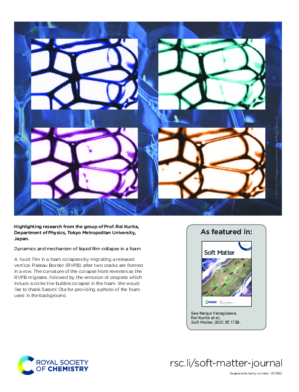 (PDF) Dynamics and mechanism of liquid film collapse in a foam