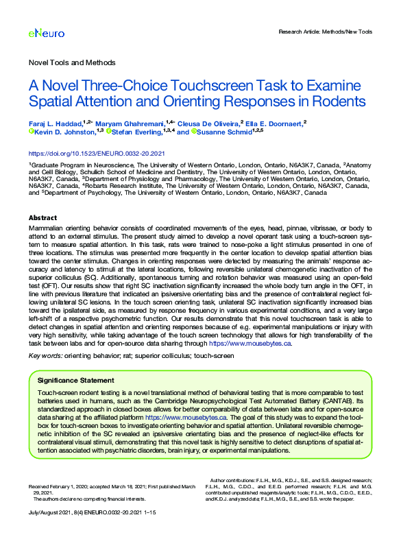 (PDF) A Novel Three-Choice Touchscreen Task to Examine Spatial ...