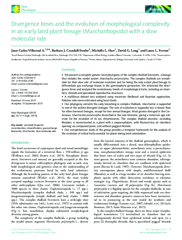 (PDF) Divergence times and the evolution of morphological complexity in ...