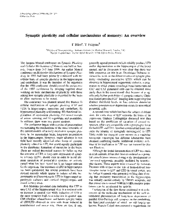 (PDF) Synaptic plasticity and cellular mechanisms of memory: An overview
