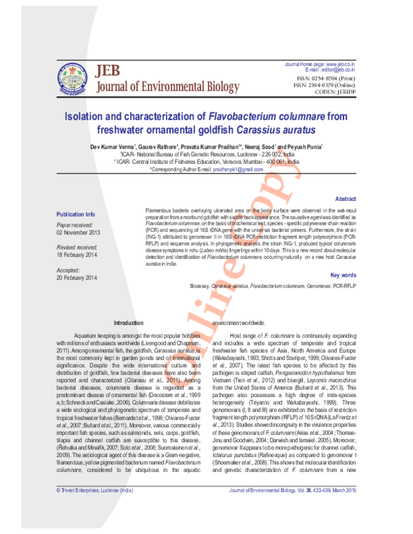 (PDF) Isolation and characterization of Flavobacterium columnare from ...