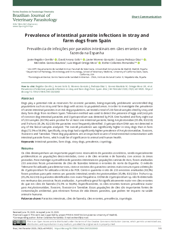 (PDF) Prevalence of intestinal parasite infections in stray and farm ...