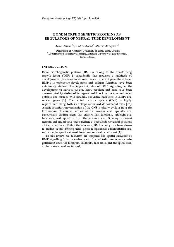 (PDF) Bone morphogenetic proteins as regulators of neural tube development